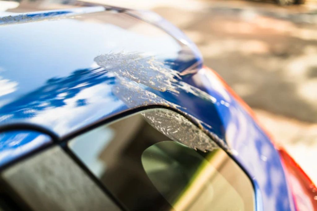 Close-up of damaged car paint from bird droppings on a blue vehicle roof, highlighting the vulnerability of unprotected surfaces and the need for long-term durability compared to wax or sealants.